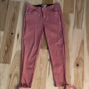 Democracy ankle has pant